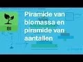 Lagu Biologie - Piramide van biomassa en piramide van aantallen