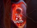 Download Lagu 24 Hours Before Birth 😲 Baby’s Final Preparations for Delivery #pregnancytips #pregnancycare #short