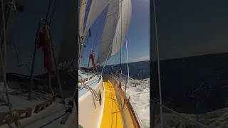 Perfect Ocean Conditions sailboat⛵️#sailing