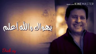 حاله واتس اب هاني شاكر حبيبي انا المتيم حبيبي انا الاسير 