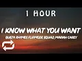 Download Lagu Busta Rhymes, Mariah Carey - I Know What You Want (Lyrics) ft Flipmode Squad | 1 HOUR