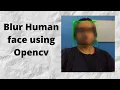 Blur human face Real Time using opencv python