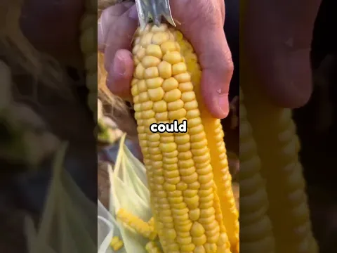 DO NOT TOUCH SOUND 😭
