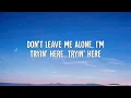 Said The Sky, ILLENIUM & Chelsea Cutler - Walk Me Home (Lyrics Video)