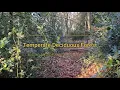 Temperate Deciduous Forest - a quick run-through