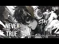 Never True - Dinda Ghania (Pop Punk Cover) TOXI DOXI