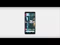 The Questioning Google Pixel 2