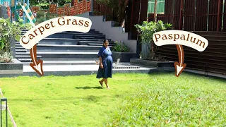 Best Lawn Grass to grow in India and How? Complete Guide