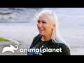 Ex-Con Finds New Life Purpose Through Animal Rescue Pit Bulls Parolees Animal Planet