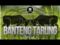 Download Lagu BANTENG TARUNG PERTELONAN x BUMI PONOROGO|| B5 REVOLUTION