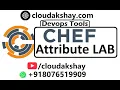 Chef attributes Lab
