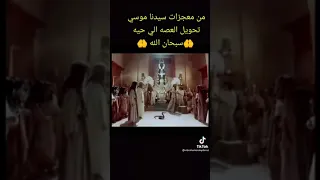أفعى العملاقة للنبي موسى علية السلام 