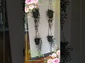 Cleanest Massage Spa in NJ Hygiene Excellence Foot Body Massage Spa