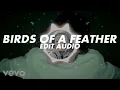 Download Lagu Birds Of A Feather - Billie Eillish [Edit Audio]