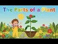 The Parts of a Plant Song Science Songs Nursery Rhymes Kids Songs by Happy Kids Melodies