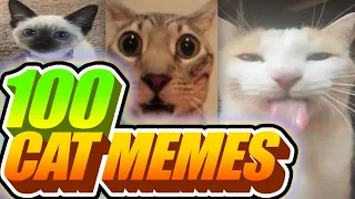 Download I Voiceovered 100 Cat Memes MP3