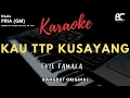 Download Lagu KAU TETAP KU SAYANG karaoke Nada pria