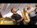 Download Lagu Fane Banateanu si Armin Nicoara - Colaj de nunta - PREMIERA 2021