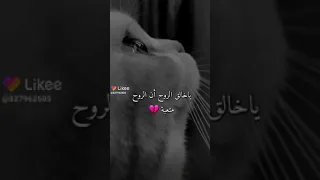 يا خالق الروح ان الروح متعبه 