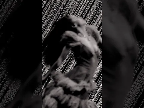 Zivert, Эвер, directoreels - Давай на самый верх