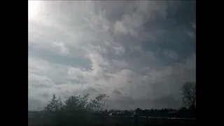                            دندنها