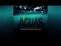 AGUAS - Luis R Conriquez X Neton Vega & Rey Quinto