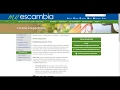 How To Pull County Liens Permits Code Enforcement Violations in Escambia County Florida
