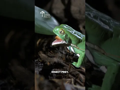 TOP 3 INSECT KILLERS! β οΈ