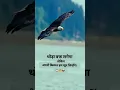 Download Lagu It will take some time, but we will write our own destiny, my brother. #motivation #inspiration #shorts #viral