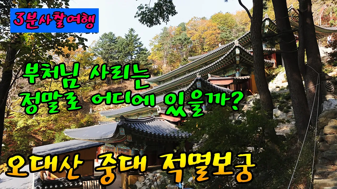 관련 영상 썸네일