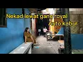 Download Lagu Melihat pemukiman di bawah kolong  tol pluit samapai gang royal