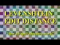 How do Spell Checkers work Levenshtein Edit Distance