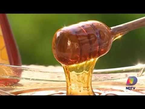 SC é um dos principais polos de apicultura orgânica do mundo