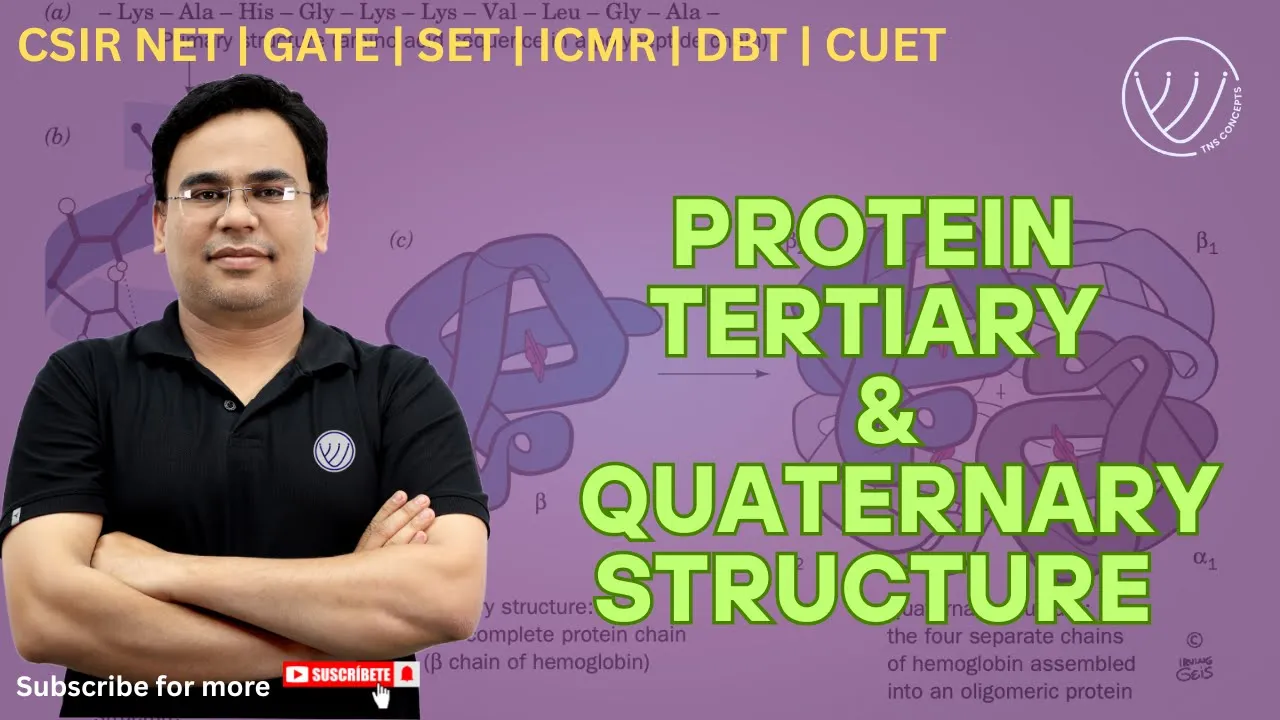 TERTIARY AND QUARTERNARY STRUCTURES OF PROTEINS | CSIR NET 2025 | MH SET 2025