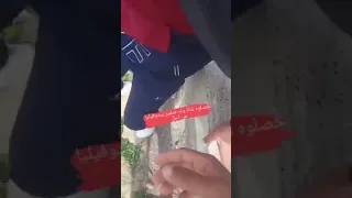 فضيحة كبرى أمسكوه بصدد اغتصاب طفل في الغابة  فضيحة كبرى أمسكوه بصدد اغتصاب طفل في الغابة