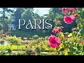 Download Lagu 🇫🇷【Laatste nieuws Parijs vlog】Bon Marché en nieuwe Ritz patisserie. Rozen van Bagatelle
