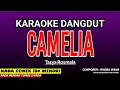Download Lagu CAMELIA KARAOKE DANGDUT - TASYA ROSMALA