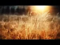 Download Lagu Peaceful Morning Relaxing Instrumental Music (Opus 1)