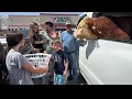 Animal days at Tractor Supply with Muffin Man The Bull