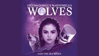 Wolves (Said The Sky Remix)