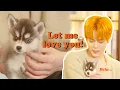 Download Lagu N.Flying's Cha Hun VS Puppy [엔플라잉]