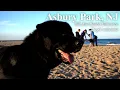 Dog Friendly Asbury Park Beach