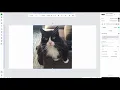 xTool Studio 2025 Update Software Overview Tutorial - For Beginners