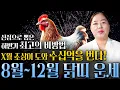 Download Lagu [8월~12월 닭띠운세] 2025년 X월 대운이 찾아와 금전의 기회를 잡는다! 닭띠분들 인생이 바뀝니다! 57년생 69년생 81년생 93년생 05년 운세