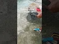 mancing ikan mujaer nila