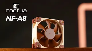 Optimized 80mm Fan - Noctua NF-A8 Review