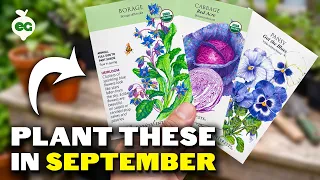 12 Crops You Can STILL Plant in September