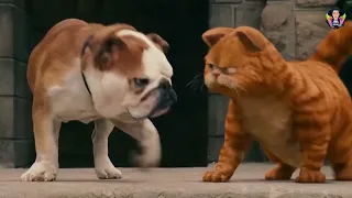 garfield movie scene in gy part 3 tamil dubbed movie movie clip