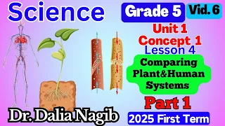ساينس خامسة ابتدائى ترم اول Science Grade 5 Concept 1 Lesson 4 Comparing Plant Human Systems P 1 