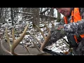 Using The Weather to Forecast Deer Movements All Year Long